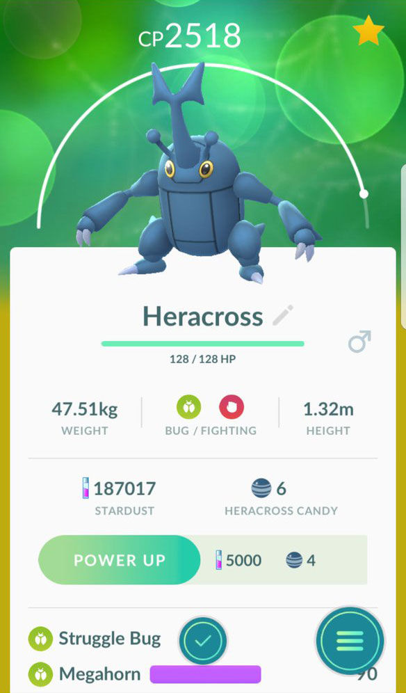 Heracross Pokémon GO stats