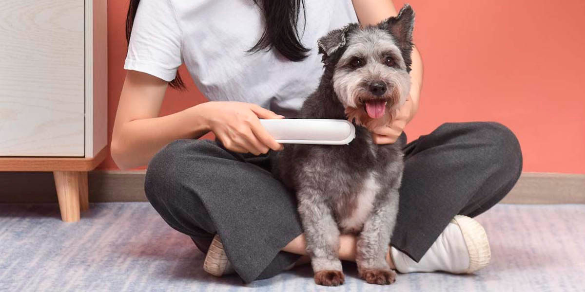 limpiar pelaje perro gato con cepillo esterilizador Xiaomi