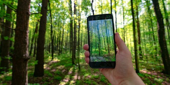 mejor app movil para la reforestacion