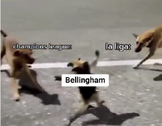 meme de bellingham champions league vs barcelona