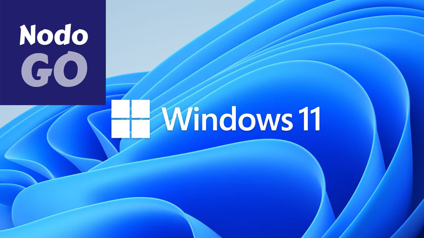 nodogo Windows 11