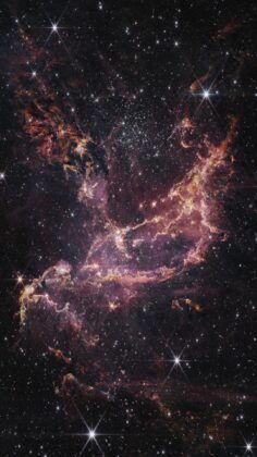 polvo estelar captado por el telescopio Webb