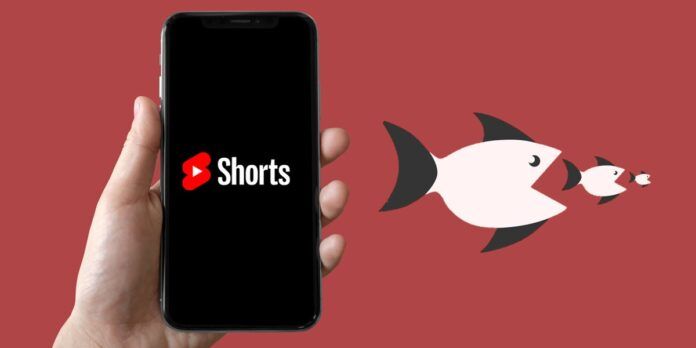 youtube shorts canibaliza los videos largos